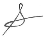 Pedro Sancha's Signature